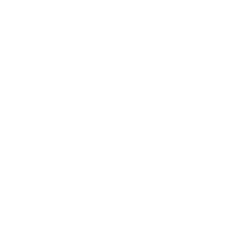 white logo (2)